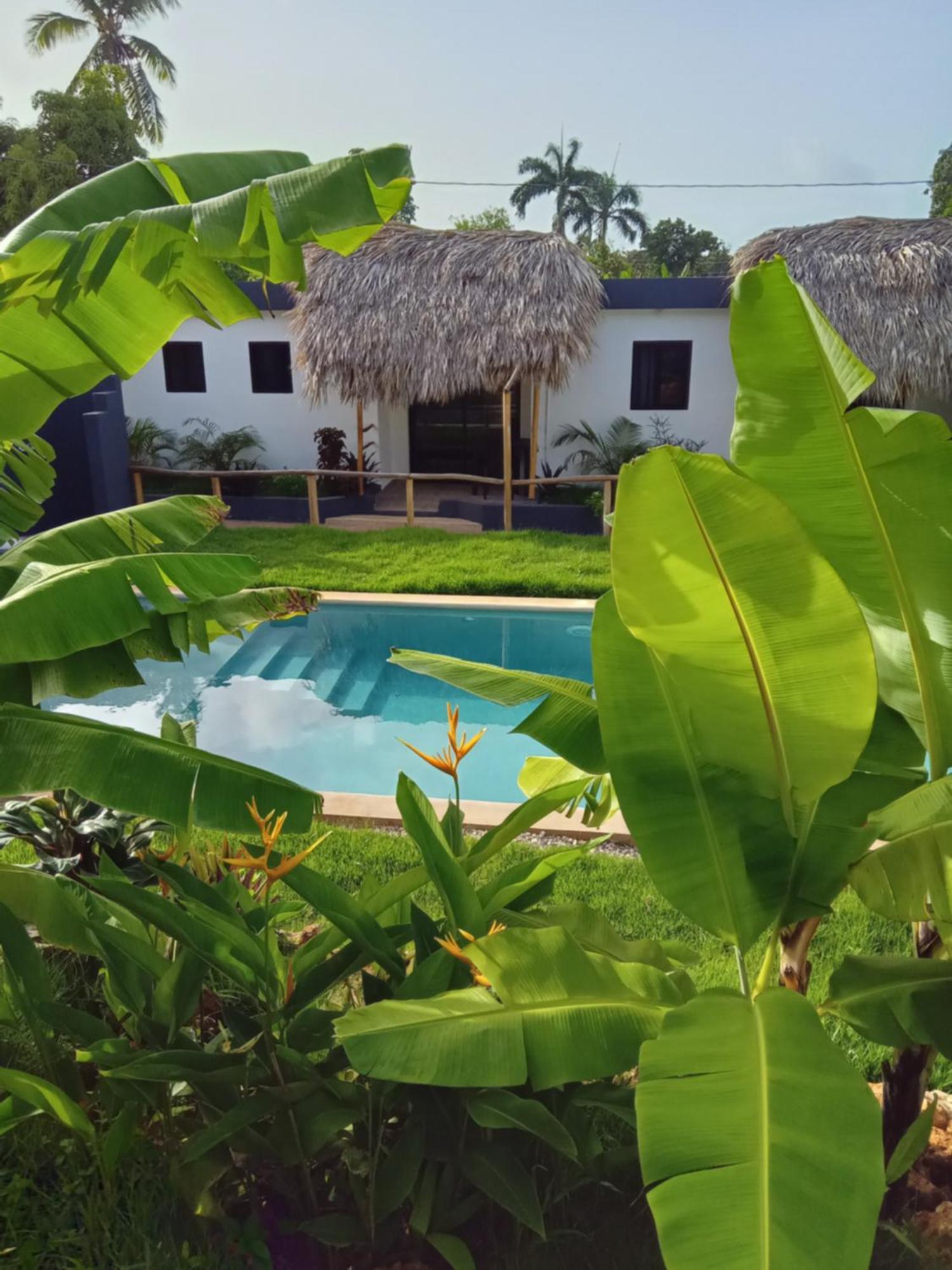 Bungalows Colibri Las Galeras Esterno foto