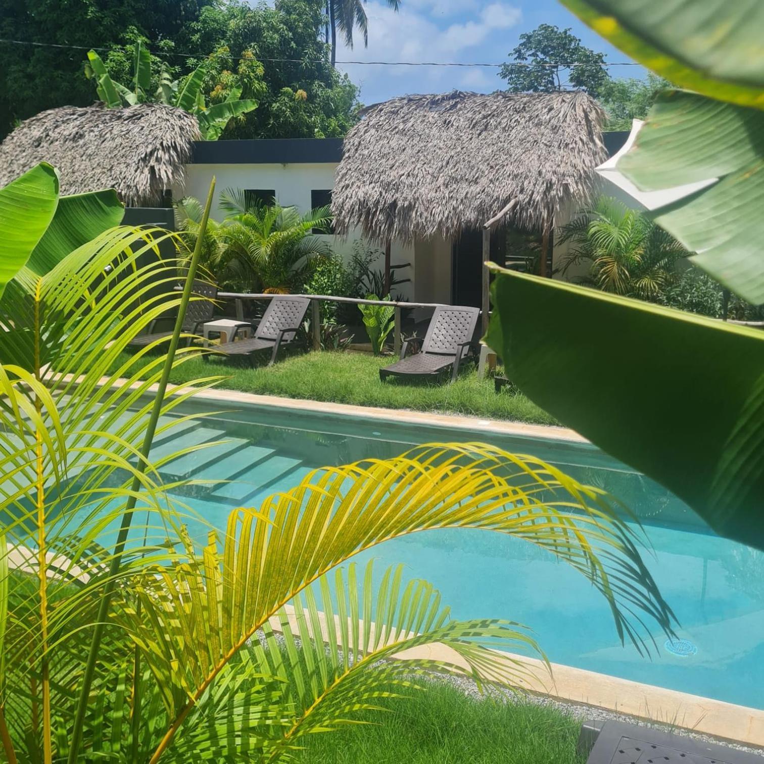 Bungalows Colibri Las Galeras Esterno foto