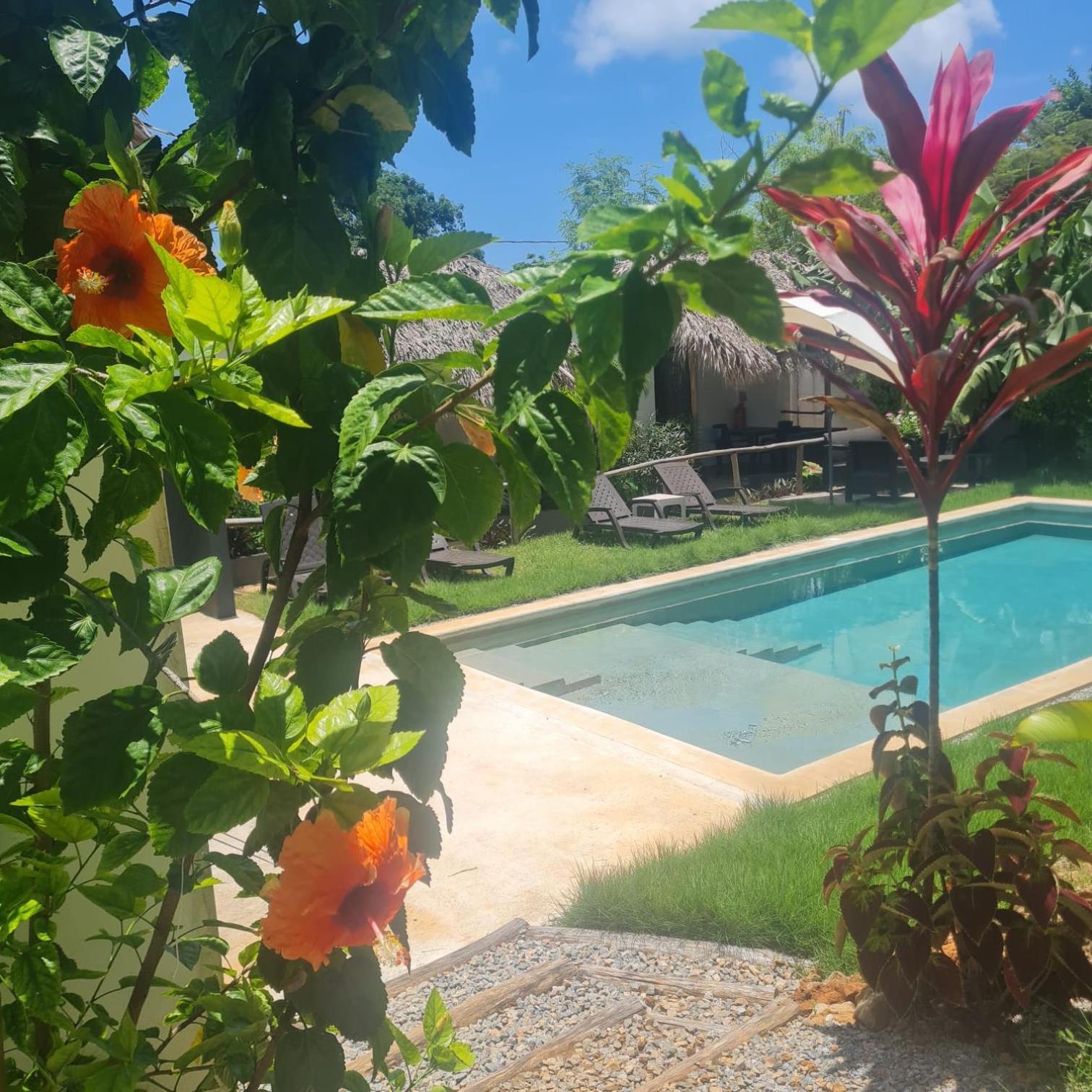 Bungalows Colibri Las Galeras Esterno foto