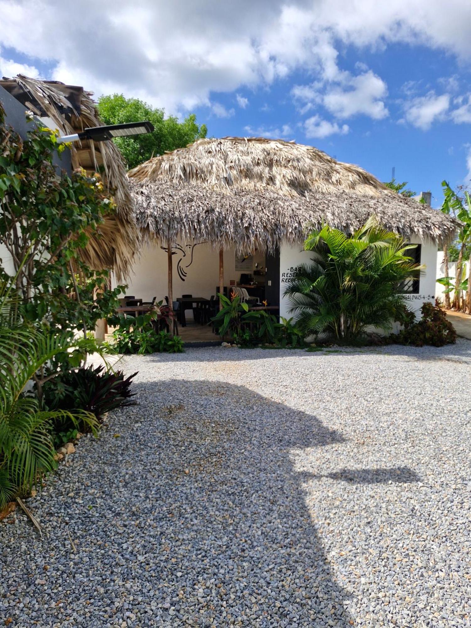 Bungalows Colibri Las Galeras Esterno foto