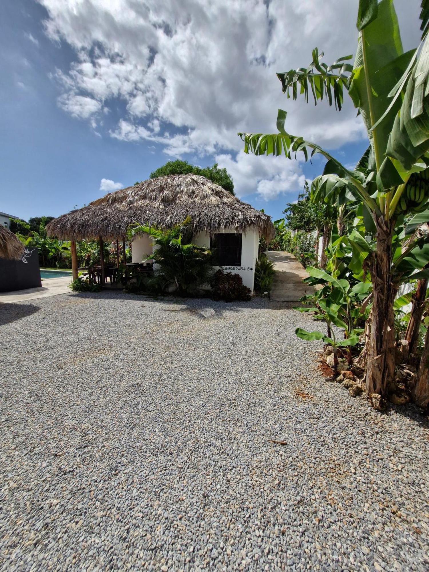 Bungalows Colibri Las Galeras Esterno foto